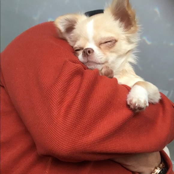 Meet your Posher, Kathleen - Picture 3 of 3